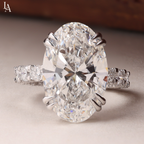 Oval Cut Hidden Halo Engagement Ring