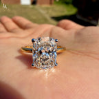 Cushion Cut Hidden Halo Engagement Ring